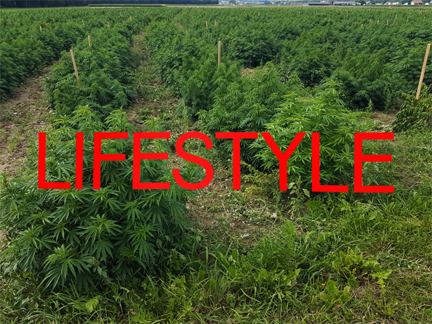 ... hate empty people!