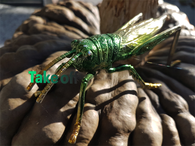 ... life is iridescent!