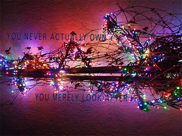 ... in every case!