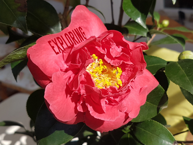 ... the power is red!