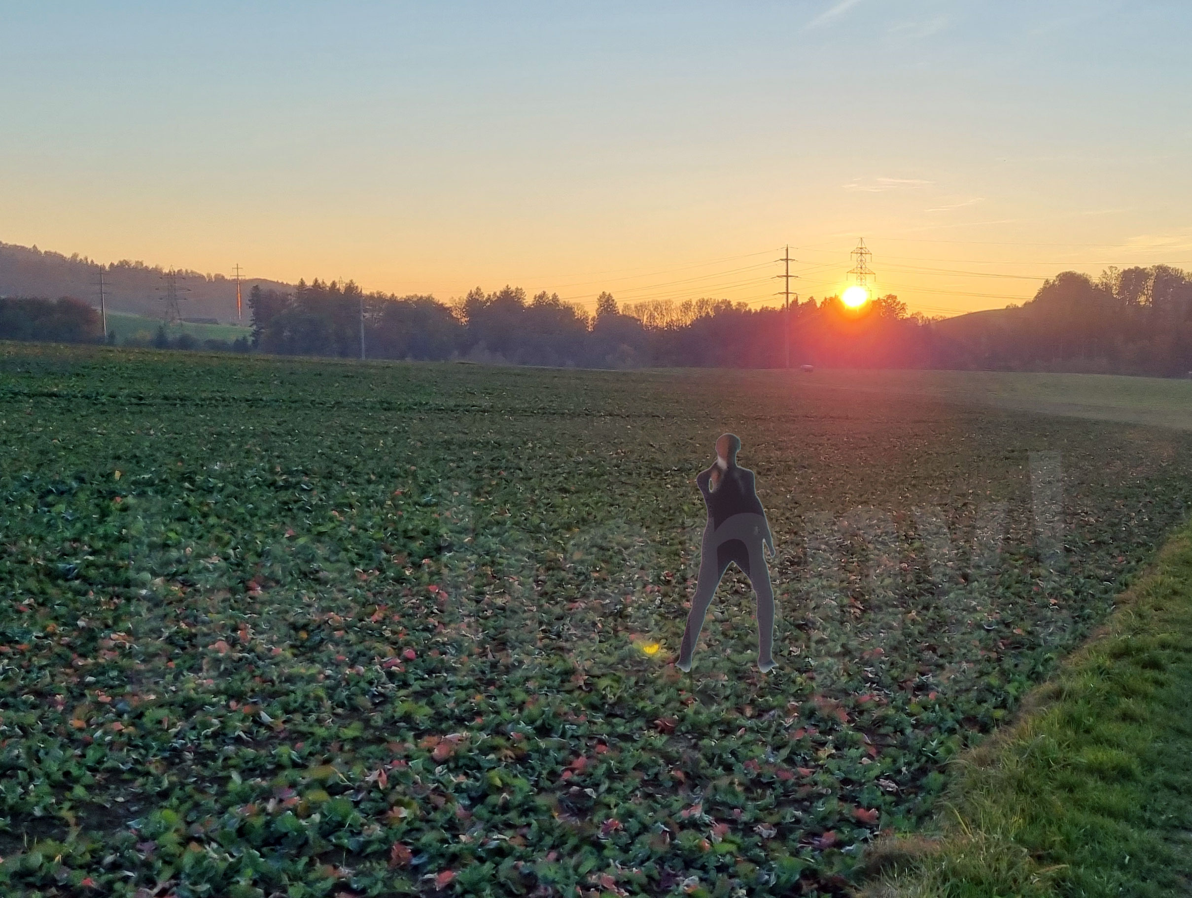 ... choose the blues?