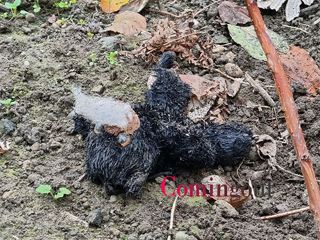 ... could become mind-boggling!