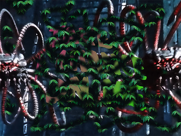 ... walking in the wood!