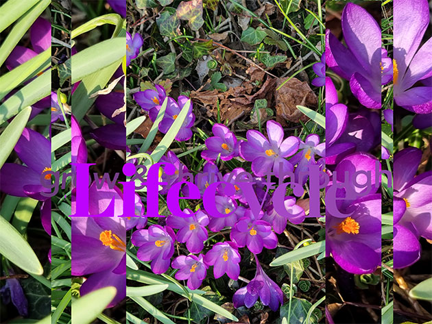 ... there's no 2 late!