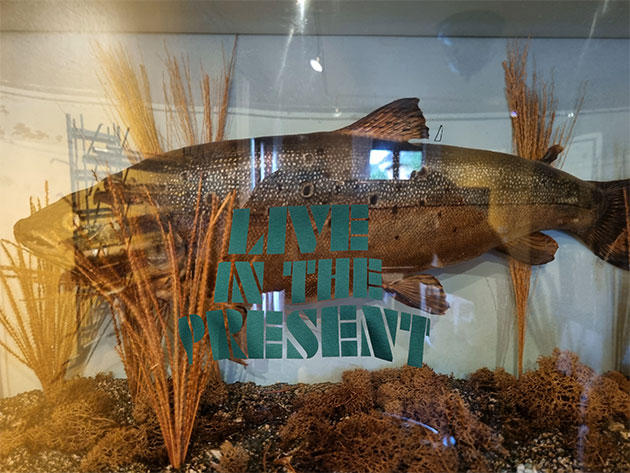 ... the sun shines 4 U!