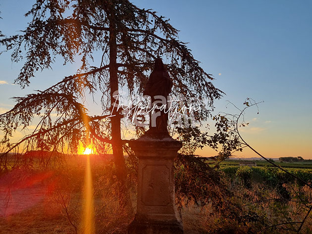 ... one ray after 4 me?