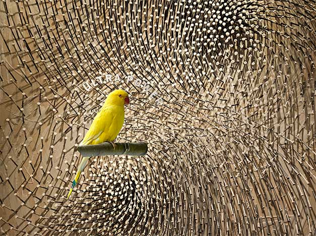 .... walk with the sun!