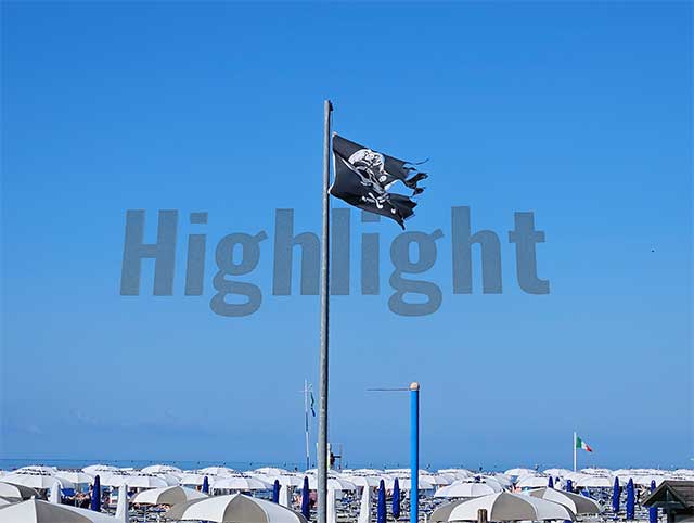 ... 	release please!