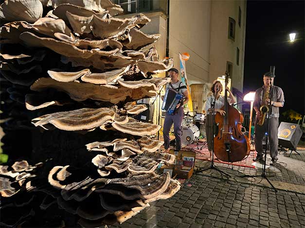 ... & continue my way!