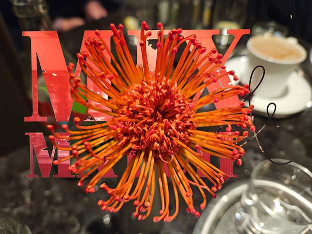 ... beautiful flower!