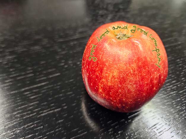 ... your next apple tree?