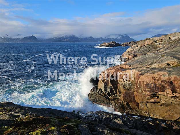 ... water&stone!
