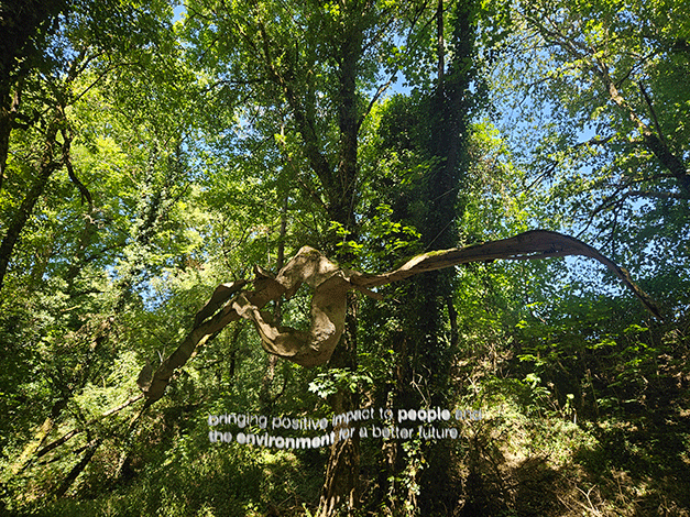 ... nature first!