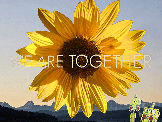 .... sunflower 4U!