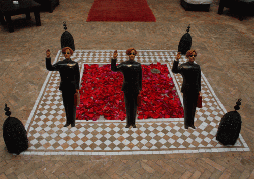 Rose walk