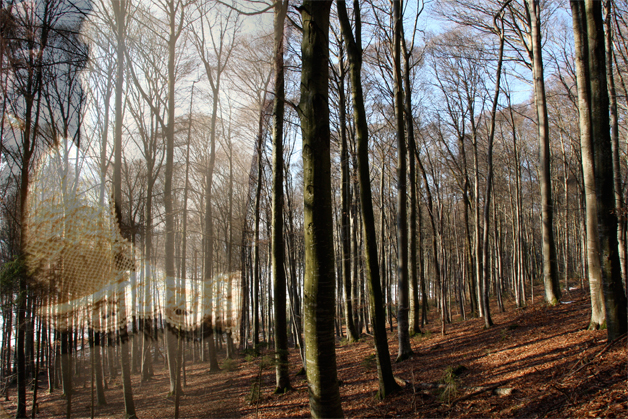 Regenerating walk
