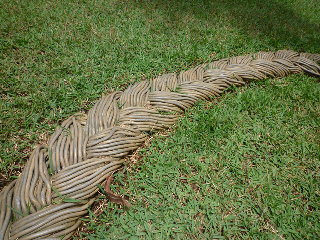 Plaited walk