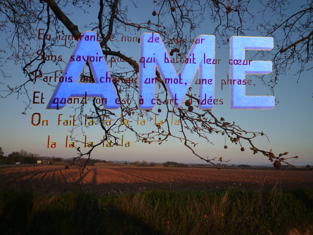 Lyric walk