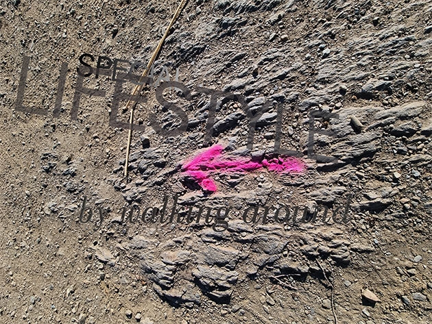 ... on slow rocky path :))
