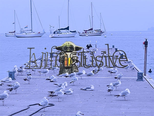 ... allover!
