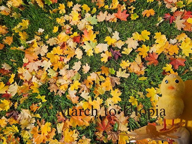 ... yellow?