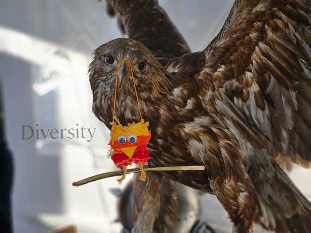 ... happy owl!