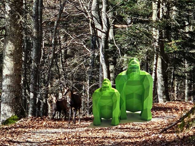... wood walk!