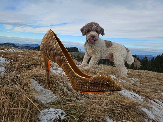 ...  bow-wow :))