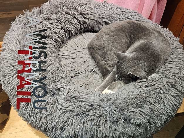 ... panther sleep deep!