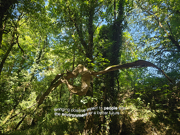 ... nature first!