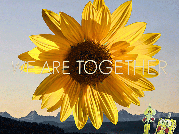 .... sunflower 4U!