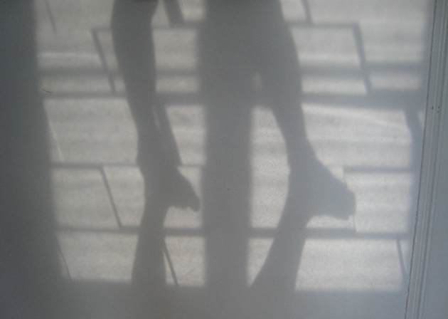 special walk