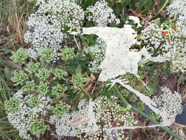 Vegan walk
