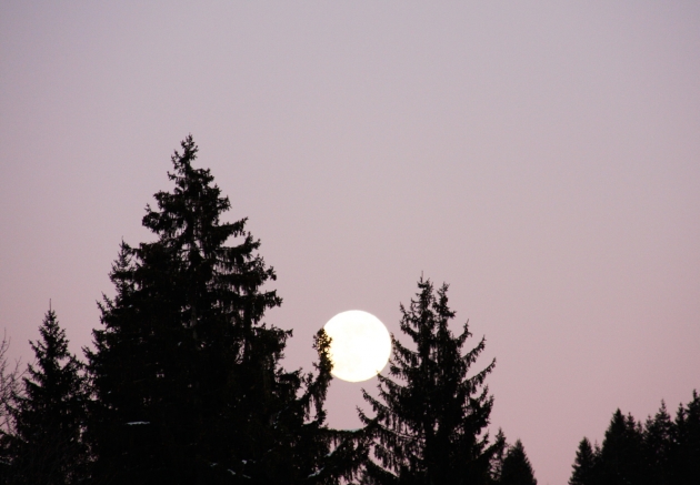 Moon walk